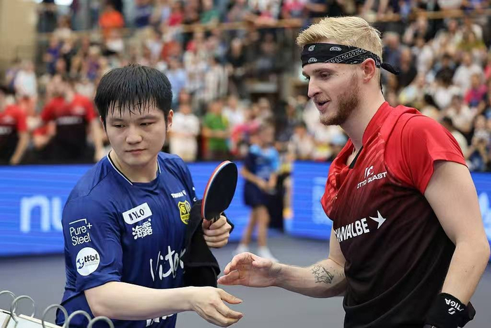 德甲乒超四强名单出炉 樊振东率萨尔布吕肯跻身