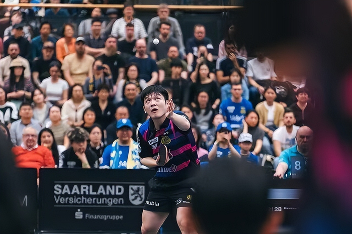 德甲乒超四强名单出炉 樊振东率萨尔布吕肯跻身