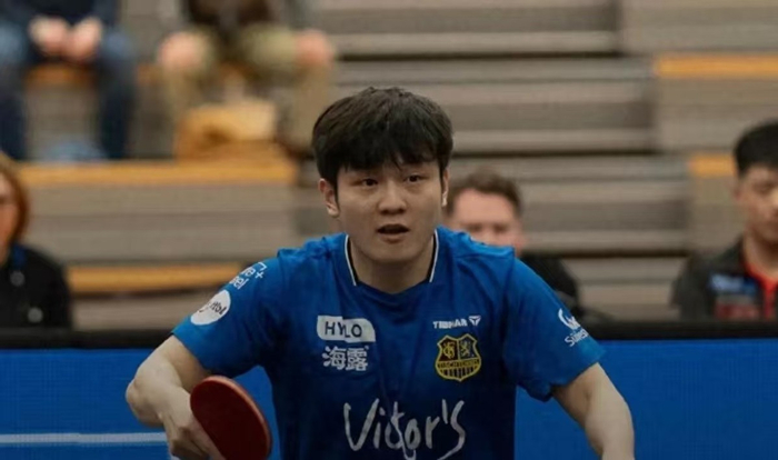 德甲乒超四强名单出炉 樊振东率萨尔布吕肯跻身